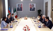 Azerbaijan and Italy discuss energy cooperation