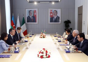 Azerbaijan and Italy discuss energy cooperation