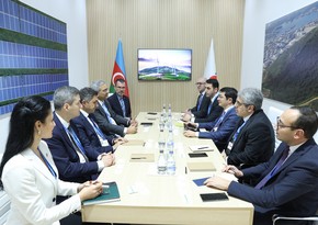 Azerbaijan and Schneider Electric mull cooperation in decarbonization and industrial technologies