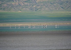 МЭПР: Озеро Аджинохур высыхает