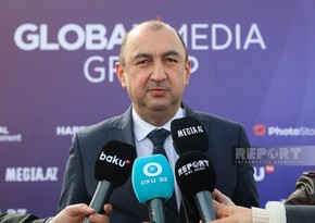 Замминистра: До конца года в Азербайджане будут посажены пять миллионов деревьев