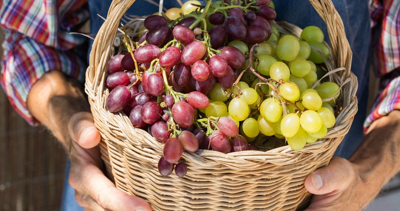 Azerbaijan's grape imports from India soar in 1H2024