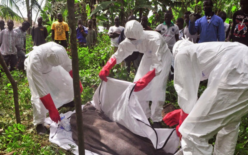 ВОЗ: От Эболы в трех странах Африки погибло более 11 тысяч человек