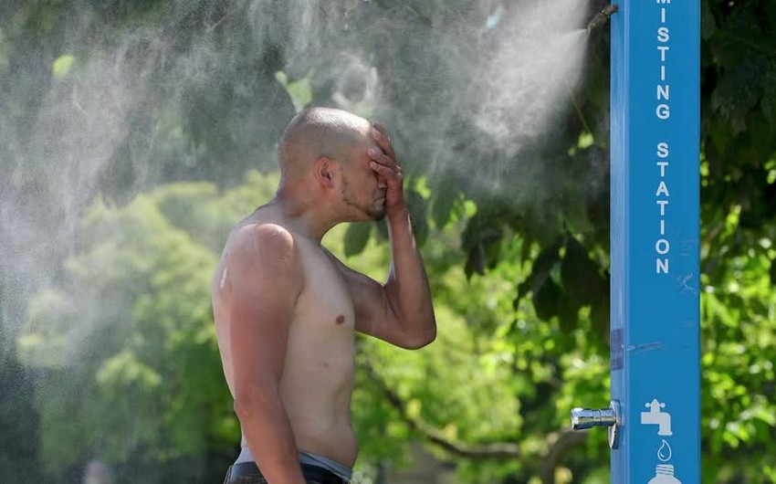 Аномальная жара на западе Канады могла привести к смерти почти 720 человек
