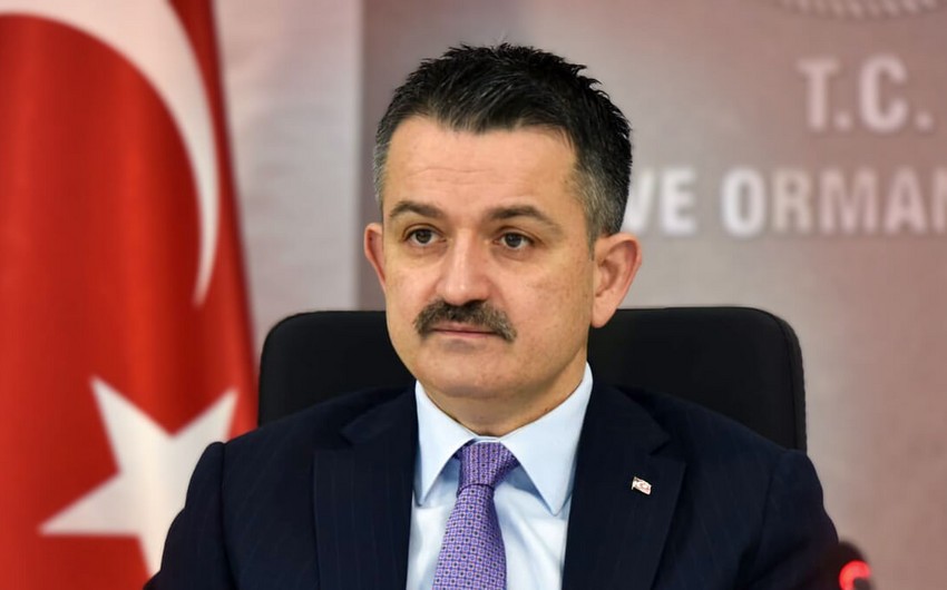 Turkish minister contracts COVID-19