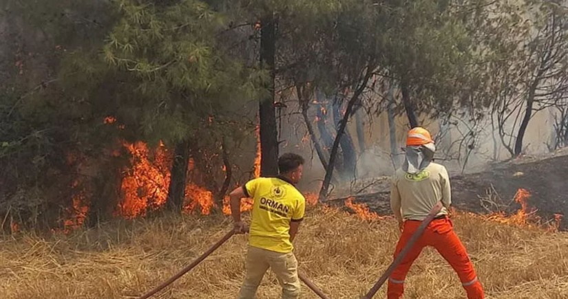 В Турции пожарные остановили распространение трех крупных лесных пожаров