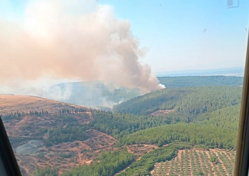 Во время лесного пожара в Турции погибли три человека