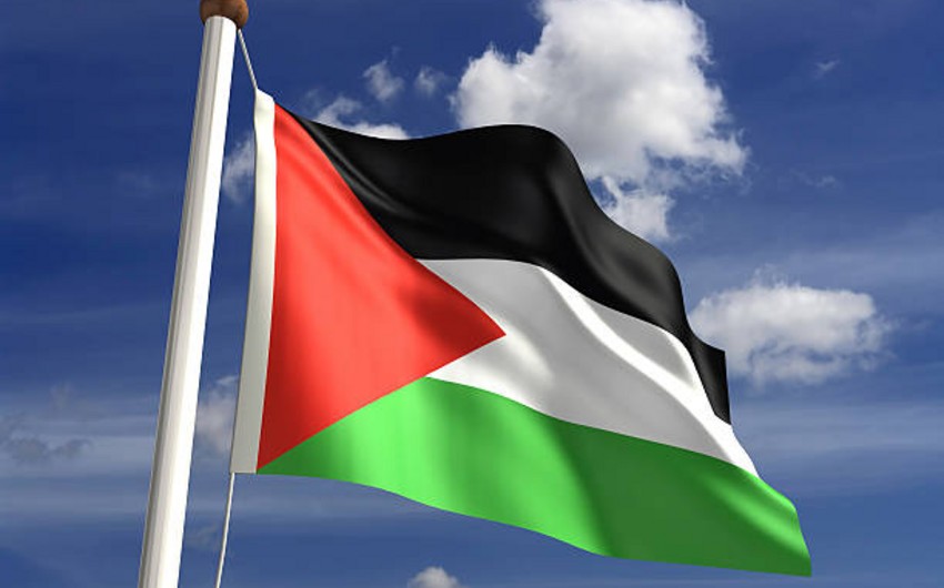 Посольство Палестины выразило соболезнования в связи с гибелью 2-летней Захры и ее бабушки