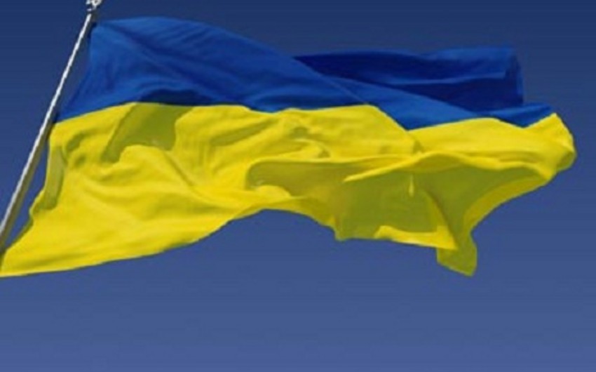Украина намерена перенять опыт ANAMA