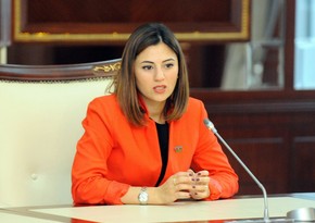  Депутат Милли Меджлиса примет участие в заседании ПАСЕ в Париже