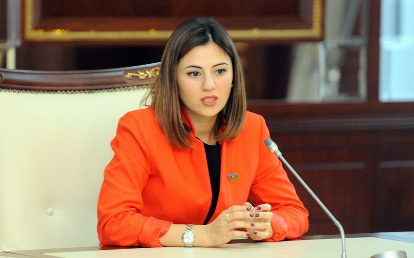Azerbaijani parliament member to participate in PACE committee meeting