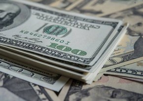 В Замбии предложили давать до 10 лет заключения за пользование долларами США