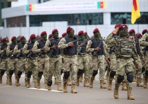 Камерун более чем втрое увеличил закупки оружия из-за угроз безопасности