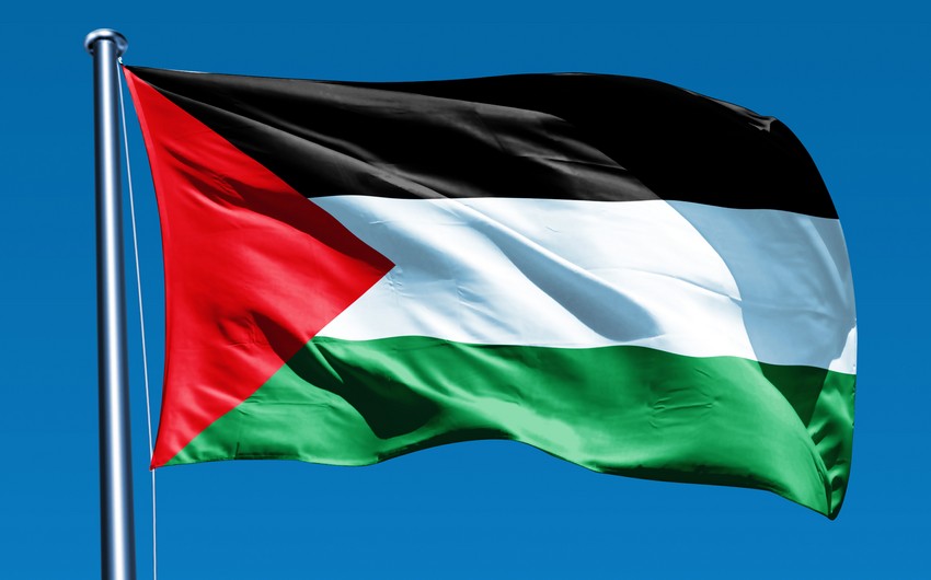 Замминистра иностранных дел Палестины находится с визитом в Азербайджане