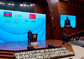 Премьер-министр: Турецкие компании реализуют в Карабахе проекты общей стоимостью 4 млрд долларов США