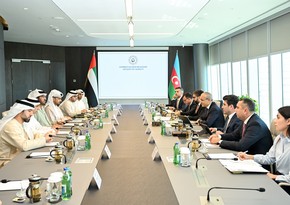 Azerbaijan, UAE mull joint green energy projects