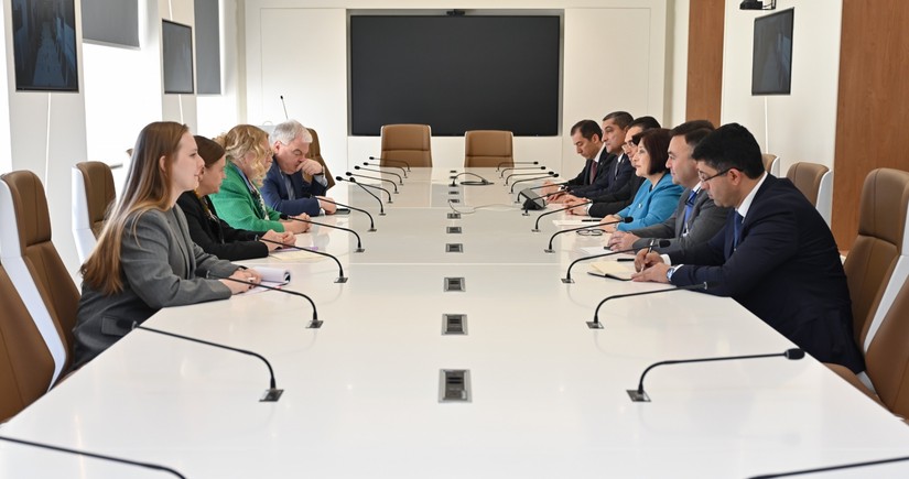 Sahiba Gafarova meets with UN director-general