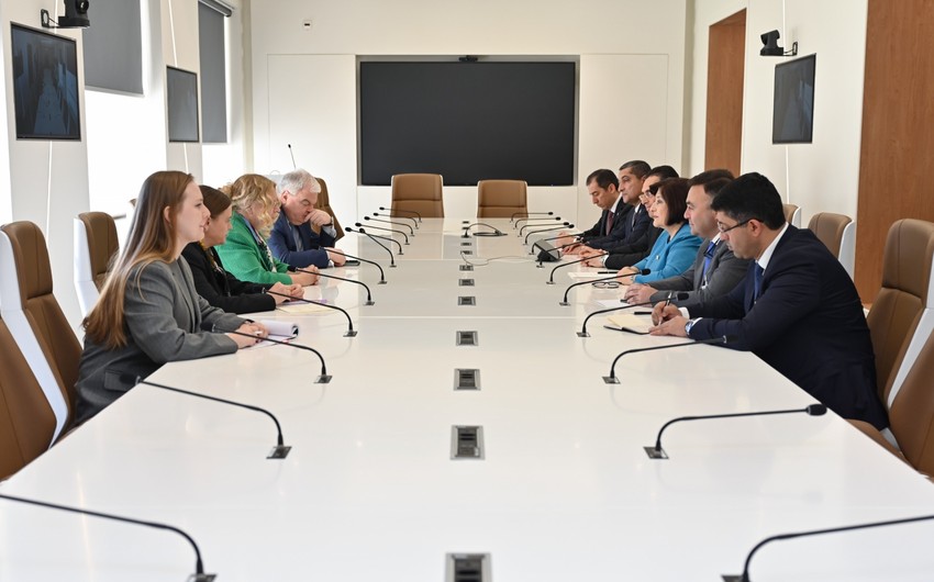 Sahiba Gafarova meets with UN director-general