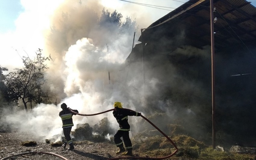 МЧС: В результате артобстрела Дашкесана вспыхнул пожар в лесном массиве 