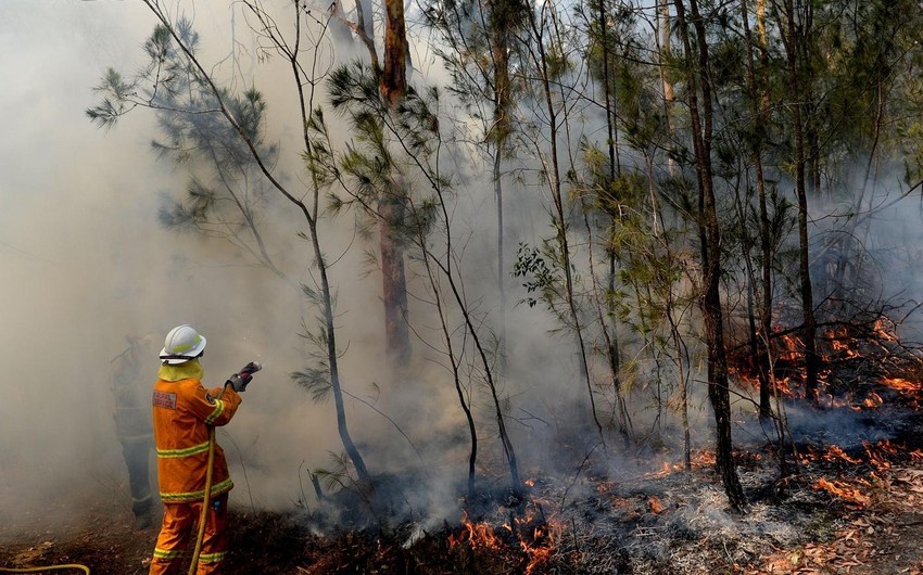 В Китае при тушении лесных пожаров погибли десятки пожарных