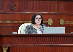 Sahiba Gafarova: Certain forces in Europe cannot come to terms with the restoration of Azerbaijan's territorial integrity