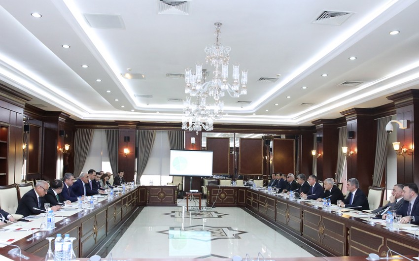 Члены Общественного совета при Минэкономики Азербайджана представили план действий депутатам 