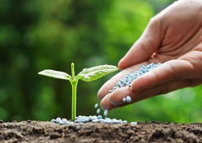 Azerbaijan increases income from fertilizer exports by 6 times