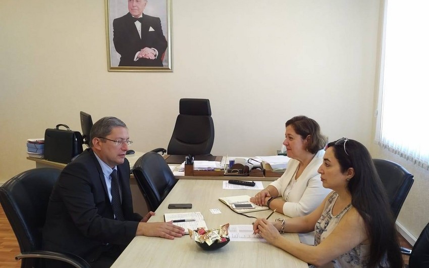 WHO representative, head of Analytical Expertise Center discuss cooperation