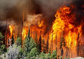 В крупном природном пожаре в Калифорнии в среду погибли три человека