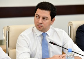 Gürcüstan parlamentinin vitse-spikeri: Zurabişvilinin referendumla bağlı təşəbbüsü təhqirdir