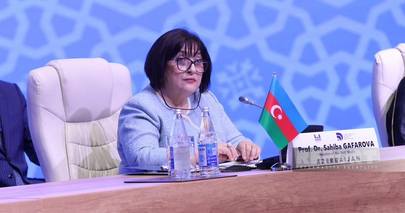 Спикер ММ: Азербайджан предпринимает последовательные шаги для сохранения культурного наследия