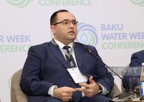 160,000 hectares of land 'fell into disrepair last year due to water shortage', Azerbaijan's agriculture minister says