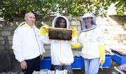 Vice-President of Heydar Aliyev Foundation Leyla Aliyeva meets participants of “Young beekeeper project in Gabala 