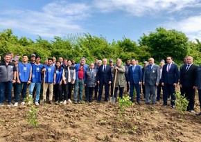 Ambassador hails Demiragac Park as symbol of Czech-Azerbaijani bond