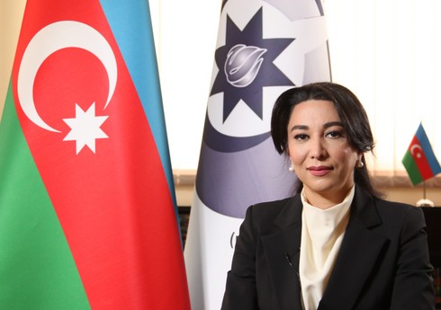 Омбудсмен Сабина Алиева пожертвовала 100 саженцев для ликвидации последствий пожаров в Турции