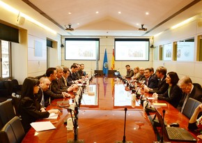  Азербайджан может войти в Международный совет по оливкам