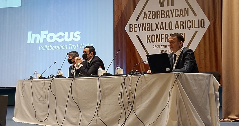 В Исмаиллы проходит VII Азербайджанская международная конференция по пчеловодству 