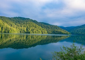 Milli parklarda gözlənilən hava şəraiti açıqlanıb