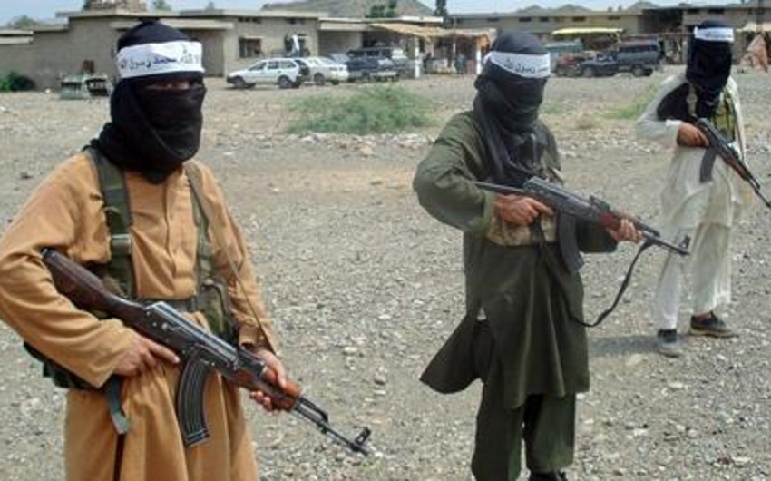 Министр: в Пакистане уничтожены все боевики Исламского движения Восточного Туркестана