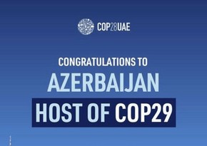 COP29 ərəfəsində Parisdə iqlim konfransı üzrə dəyirmi masa keçirilir