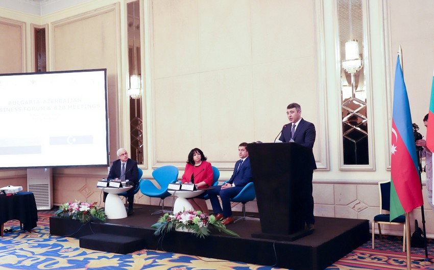 Sofiyada Bolqarıstan-Azərbaycan biznes forumu keçirilib