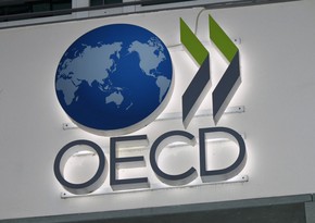 OECD improves its 2024 US GDP forecast