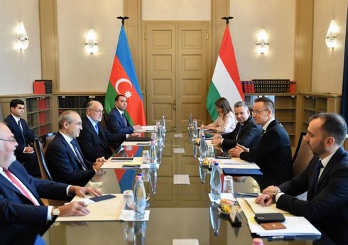 Азербайджан и Венгрия обсудили совместное производство лекарственных средств