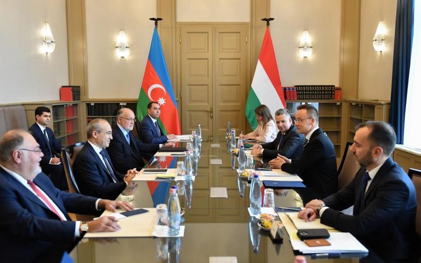 Azerbaijan, Hungary mull joint production of medicines
