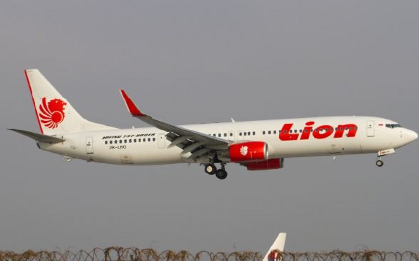 Пассажирский Boeing-737 совершил аварийную посадку в Индонезии
