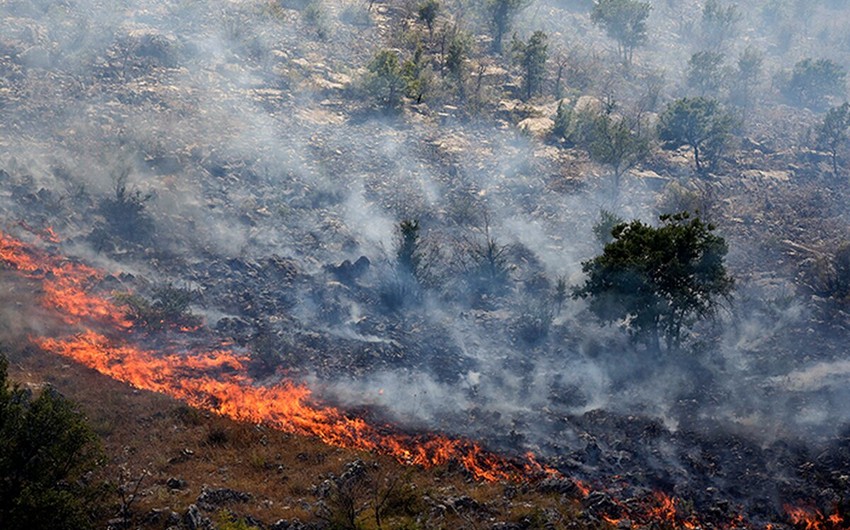 Крупный лесной пожар угрожает столице Черногории