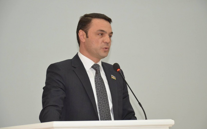 Депутат Эльдяниз Салимов: Я поступил неправильно и приношу свои извинения