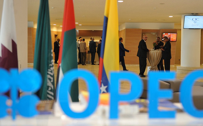 OPEC+ platforması əsasında yeni təşkilat fəaliyyətə başlaya bilər