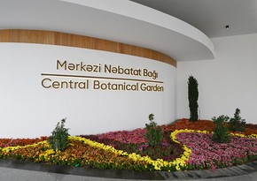 Central Botanical Garden in Baku opens its doors for visitors