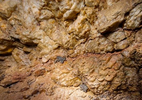 В 4 экономических районах Азербайджана проведут разведку рудных и нерудных месторождений